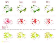 How the city developed from 1975 to 2010