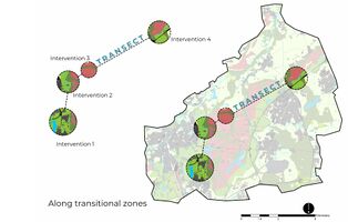 To understand how such broad visions could be implemented on a design level, we utilised the transect technique; interventions along the proposed transitional zones of the urban fabric to the remaining peatland areas