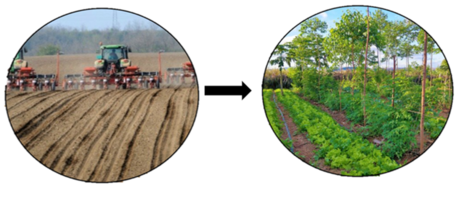 Transformation of intensive agriculture to extensive mixed agriculture (author: Rok Brišnik, 2022; source: Euractiv, 2022).
