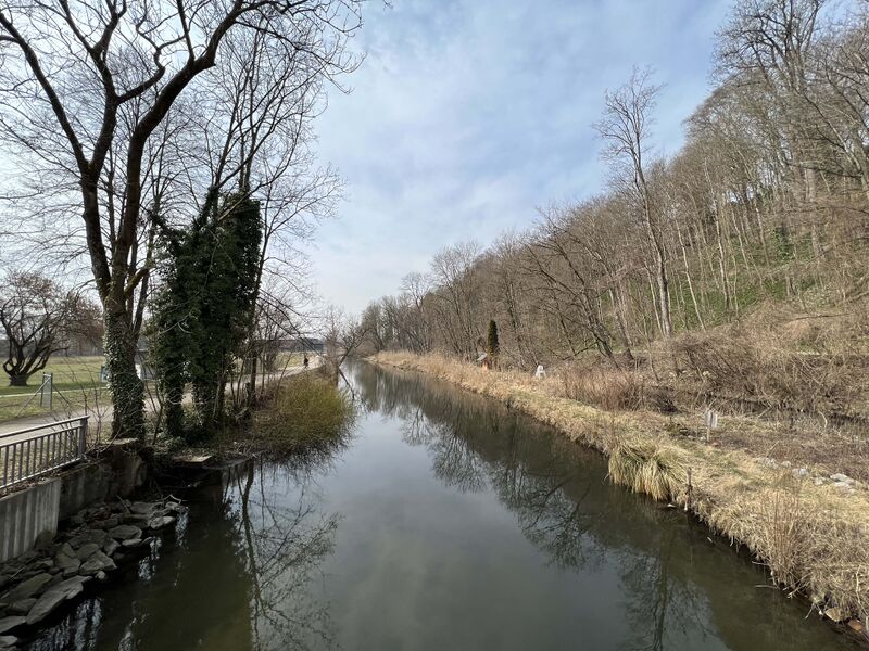 File:Urbanizing the wild area.jpg