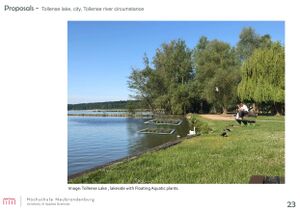 Floating Water Purification Plats on waterbody- Ecological Goals pg 2 (Scenario).jpg