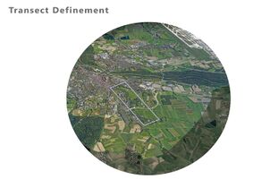 Transect -1