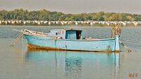 boat on Fusaro Lake