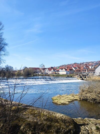 Neckarhousen dike.jpg