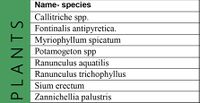 Plant diversity in the upstream of Emajõgi