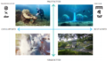 Thumbnail for version as of 08:43, 18 May 2022