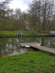 The fish-ladder in the Ölmühenbach creek