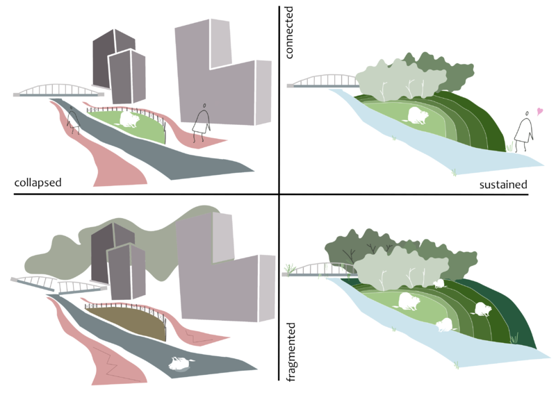 File:Scenario.png