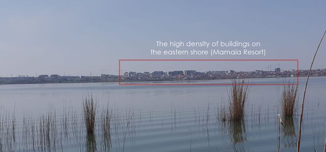 The Buildings Density on the Mamaia Resort