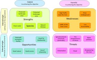 SWOT