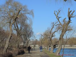 Plumbuita waterfront (source of image: https://bucurestiulmeudrag.ro/fotografii/5841ed77-6e94-495a-87e7-ddb0592b13d5)