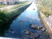 Fusaro Lake center channel