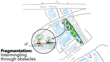 Fragmentation and diversification